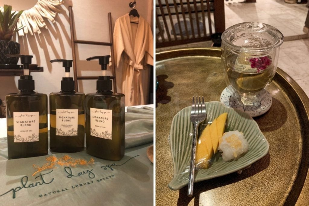 review plant day spa