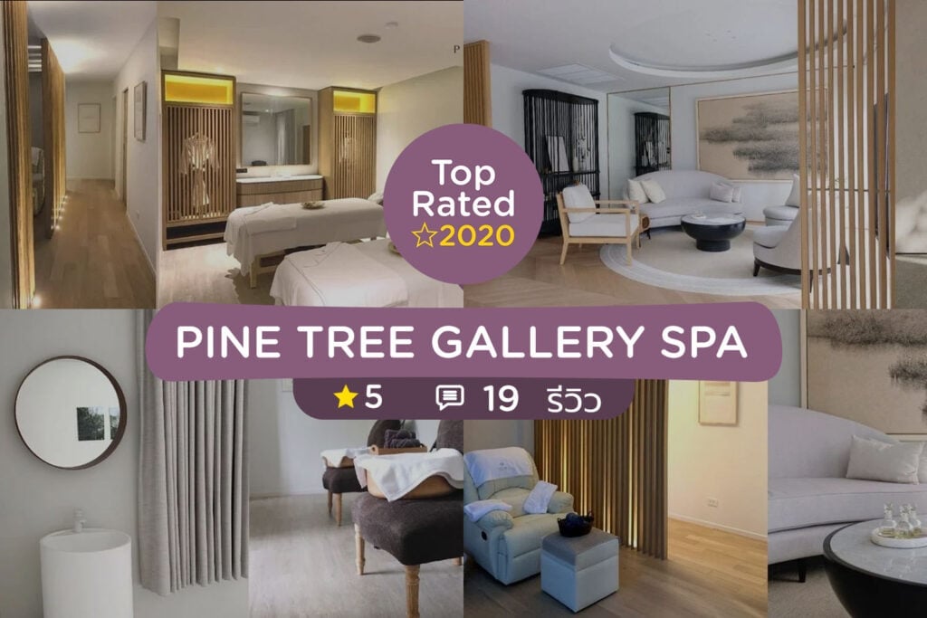 ร้านนวดสปา จัดอันดับร้านที่ดีที่สุดปี 2020
plant day spa