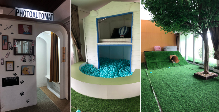 Dog-Vibes-Animal-Playground-Playroom