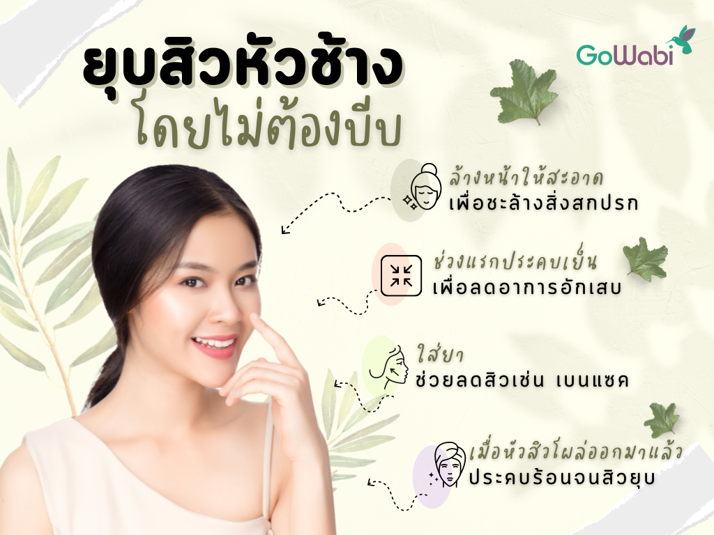 บีบสิวหัวช้างได้ไหม? ทำยังไงให้สิวหัวช้างยุบโดยไม่ทิ้งรอยหลุมสิว - GoWabi บีบสิวหัวช้างได้ไหม? ทำยังไงให้สิวหัวช้างยุบโดยไม่ทิ้งรอยหลุมสิว - Gowabi