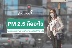 PM 2.5 คืออะไร