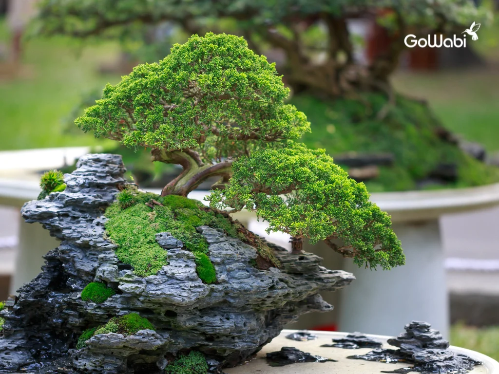 หารายได้เสริมด้วยการปลูกต้นไม้