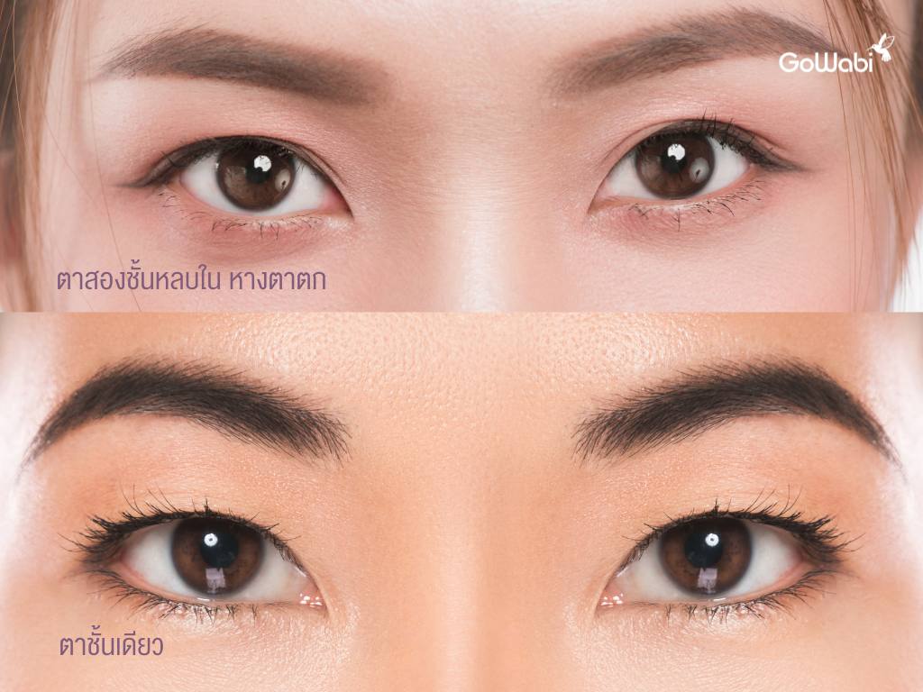 ตาขนตาสายฝอทรง doll eye เหมาะกับคนตาชั้นเดียว ตาสองชั้นหลบใน