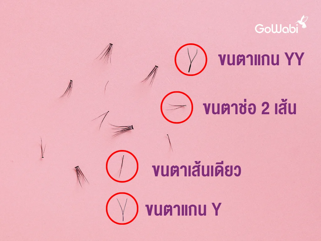 ขนตาปลอมแบบต่าง ๆ