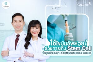 สเต็มเซลล์ คืออะไร