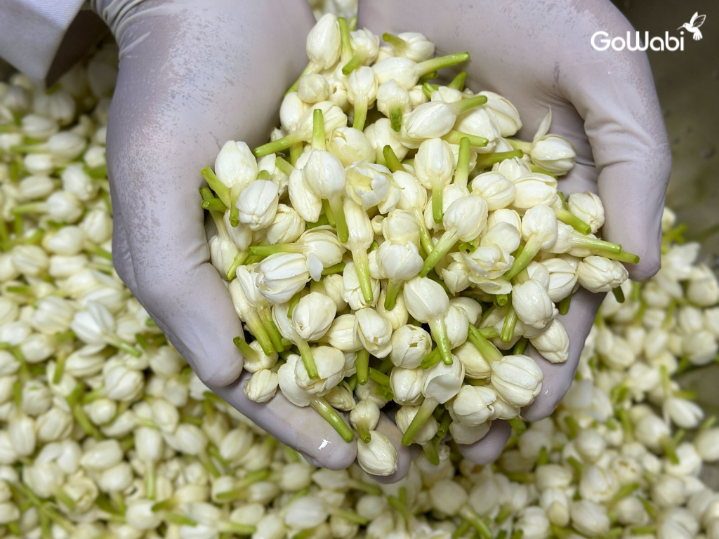 alodia ผลิตภัณฑ์ธรรมชาติ