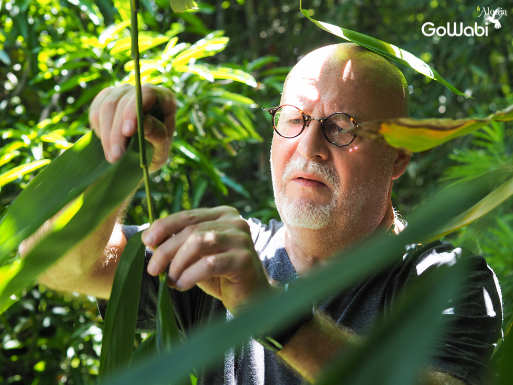 alodia ผลิตภัณฑ์เป็นมิตรต่อสิ่งแวดล้อม