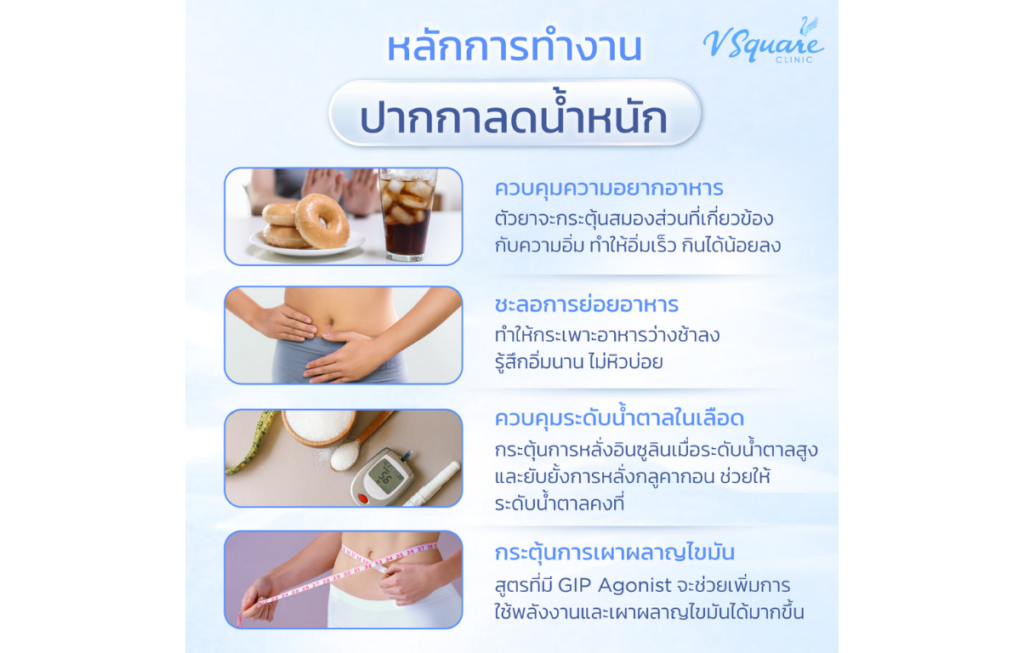 หลักการทำงาน ปากกาลดน้ำหนัก